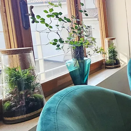 Salotto Corso Garibaldi Konukevi